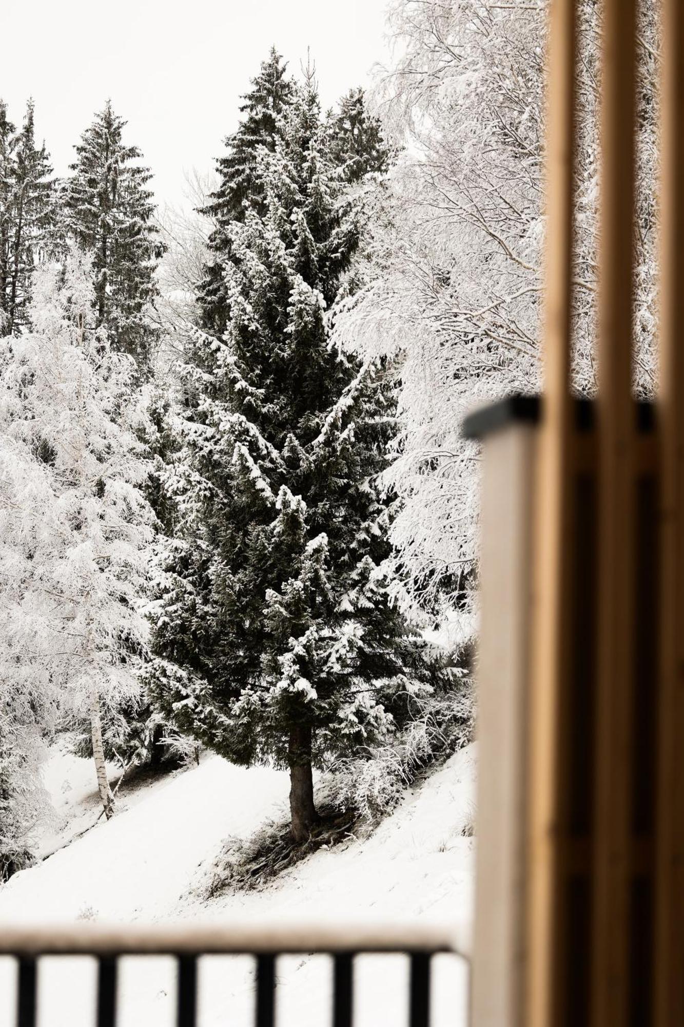 Gut Berg Naturhotel ซังค์โยฮันน์อิมพองเกา ห้อง รูปภาพ